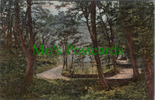 Load image into Gallery viewer, Devon Postcard - Clovelly, Hobby Drive  SW11045