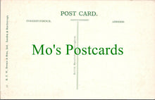 Load image into Gallery viewer, Scotland Postcard - St Andrews Cathedral, St Regulus Tower  SW11075