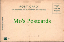 Load image into Gallery viewer, South Africa Postcard - Ostriches With Chickens   SW11109