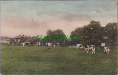 Hampshire Postcard - Lyndhurst, View From The Bench  HP94