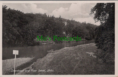 Scotland Postcard - Stobo, Crownhead and River Tweed  HP98