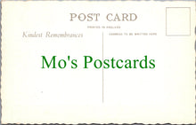 Load image into Gallery viewer, Devon Postcard - Brixham, William III Memorial  SW12506