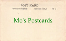 Load image into Gallery viewer, Ancestors Postcard - Lady With Her Dog in a Large Garden SW12521
