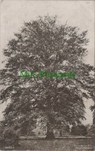 Load image into Gallery viewer, London County Council Reward Card - A Beech Tree  SW12527
