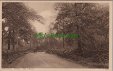 Load image into Gallery viewer, Essex Postcard - Brentwood, Warley, The Avenue DC934