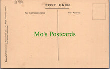 Load image into Gallery viewer, Essex Postcard - Brentwood, Warley, The Avenue DC934