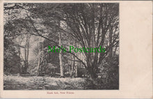 Load image into Gallery viewer, Hampshire Postcard - Mark Ash, The New Forest  DC965
