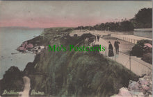 Load image into Gallery viewer, Devon Postcard - Babbacombe Downs   DC899