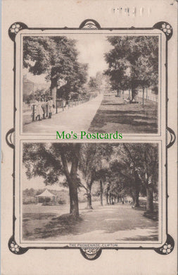 Bristol Postcard - The Promenade, Clifton, Lover's Walk, Redland DC864