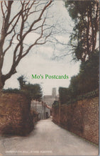 Load image into Gallery viewer, Devon Postcard - Dartmouth Hill, Stoke Fleming  DC868