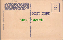 Load image into Gallery viewer, America Postcard - Amish Boys Out For a Drive, Lancaster County DC823