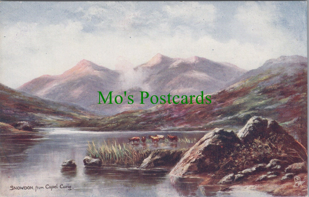 Wales Postcard - Snowdon From Capel Curig  DC839