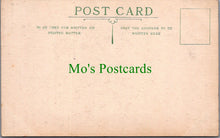 Load image into Gallery viewer, Hampshire Postcard - Heads of Two Fallow Deer, The New Forest SW11226