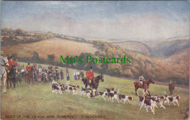 Animals Postcard - Meet of The Devon and Somerset Staghounds  SW11284