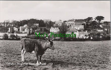 Load image into Gallery viewer, Cornwall Postcard - Trelights, Near Port Isaac  SW11316
