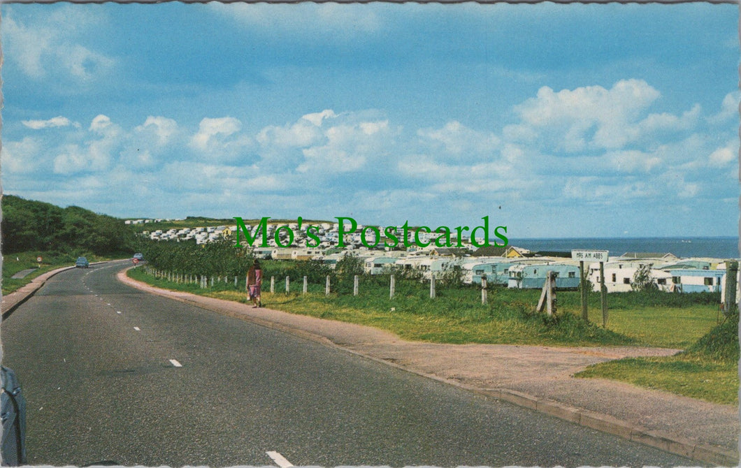 Norfolk Postcard - Cromer, The Caravan Camps, East Runton  SW11542