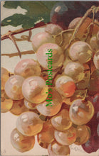 Load image into Gallery viewer, Nature Postcard - Fruit Art - Grapes, Artist Catharina Klein  SW11560