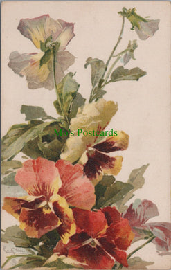 Nature Postcard - Flower Art - Pansies, Artist Catharina Klein  SW11563