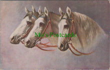 Load image into Gallery viewer, Animals Postcard - Horse Art, Three White Horses  SW11569

