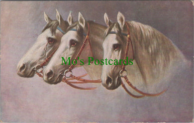 Animals Postcard - Horse Art, Three White Horses  SW11569