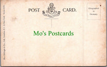 Load image into Gallery viewer, Animals Postcard - Horse Art, Three White Horses SW11569