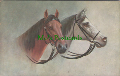 Animals Postcard - Horse Art, Brown and White Horses  SW11571