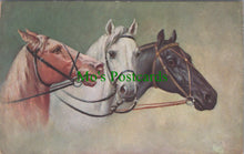 Load image into Gallery viewer, Animals Postcard - Horse Art, Brown, White and Black Horses  SW11572
