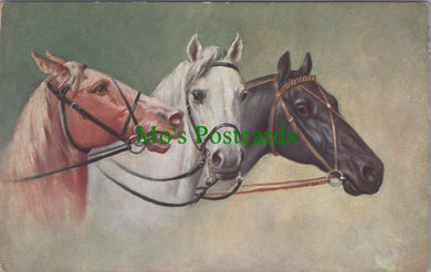 Animals Postcard - Horse Art, Brown, White and Black Horses  SW11572
