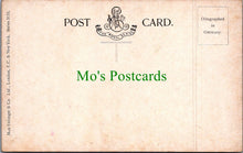 Load image into Gallery viewer, Animals Postcard - Horse Art, Brown, White and Black Horses SW11572