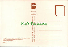 Load image into Gallery viewer, Animals Postcard - A Scottish Highland Cow SW11965