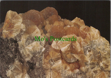 Geological Museum Postcard - Radiating Aggregates SW11972