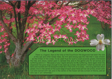 Nature Postcard - Flowers, The Legend of The Dogwood SW11979
