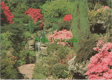 Sussex Postcard - Leonardslee Gardens, Horsham SW12244
