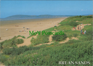 Somerset Postcard - Brean Sands   SW12265