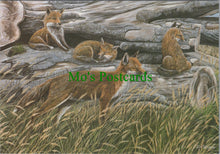 Load image into Gallery viewer, Animal Art Postcard - Foxes, Artist David Teague  SW12266
