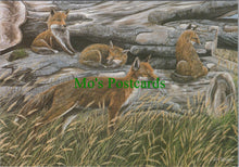 Load image into Gallery viewer, Animal Art Postcard - Foxes, Artist David Teague  SW12266