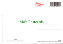 Load image into Gallery viewer, Animal Art Postcard - Foxes, Artist David Teague  SW12266