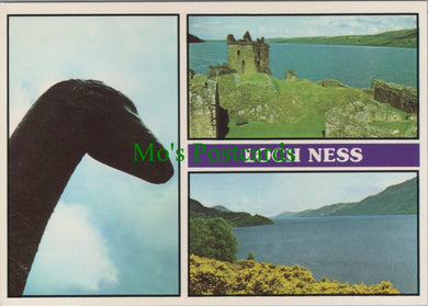 Scotland Postcard - Loch Ness, Inverness-shire - 