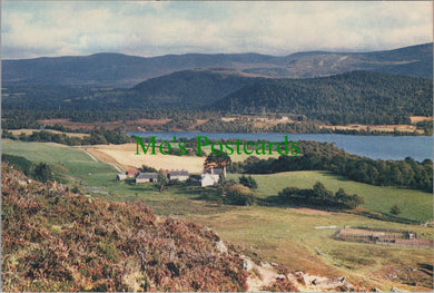 Scotland Postcard - Looking Across Loch Alvie Near Aviemore SW12221