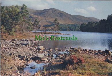 Scotland Postcard - Loch-An-Eilean, Aviemore, Inverness-shire SW12228