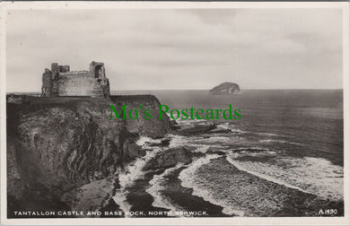 Scotland Postcard - Tantallon Castle and Bass Rock, North Berwick  SW12910