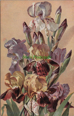 Nature Postcard - Pretty Flowers   SW13366