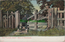 Load image into Gallery viewer, Warwickshire Postcard - The "Tumble Down" Stile at Charlecote   SW13399