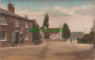 Berkshire Postcard - Cookham, The Pound  SW13507