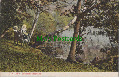 Buckinghamshire Postcard - The Lake, Burnham Beeches   SW14072