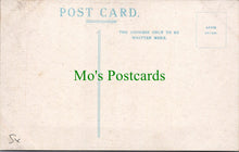 Load image into Gallery viewer, Sussex Postcard - Shoreham-By-Sea, Norfolk Bridge   SW13291