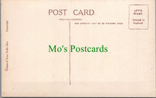 Load image into Gallery viewer, Animals Postcard - Grey Seals Hurrying To Sea   SW13301