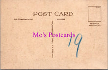Load image into Gallery viewer, Oxfordshire Postcard - Entrance Gate, Blenheim Palace  SW15362