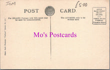 Load image into Gallery viewer, Isle of Man Postcard - Derby Castle, Douglas  SW15299
