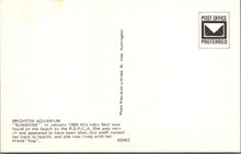 Load image into Gallery viewer, Animals Postcard - Seal, Brighton Aquarium  SW16081